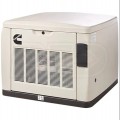 Cummins RS13AE - 13kW Quiet Connect™ Series Extreme Cold Weather Home Standby Generator