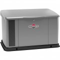 Briggs & Stratton Home Standby Generator - 20 kW (LP)/18 kW (NG), Steel Enclosure, Model# 040586