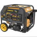 Firman H03651 - Hybrid Series 3650 Watt Electric Start Dual Fuel Portable Generator w/ RV Outlet (CARB)