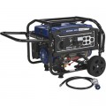 Powerhorse Dual Fuel Generator - 4000 Surge Watts, 3240 Rated Watts, Electric Start