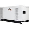 Generac Protector Series Home Standby Generator - 60 kW, LP/NG, 120/240 Volts, Single Phase, Model# RG06045ANAX