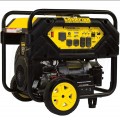 Champion 100111 - 12,000 Watt Electric Start Portable Generator (CARB)