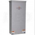Briggs & Stratton 100-Amp Outdoor Automatic Transfer Switch (Service Disconnect)