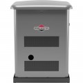 Briggs & Stratton Home Standby Generator - 12 kW (LP)/10.8kW (NG), Steel Enclosure, Model# 040590