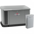 Briggs & Stratton Home Standby Generator - 20 kW (LP) 18 kW (NG), Dual 200 Amp Transfer Switch, Aluminum Enclosure, Model# 040638