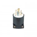 Generator Plug — 20 Amp, 125/250 Volt