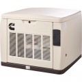 Cummins QuietConnect Home Standby Generator - 13 kW, LP/NG, 120/240 Volts, Single Phase, Model# RS13A Warm