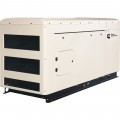 Cummins Commercial Standby Generator - 40 kW, LP/NG, 120/208 Volts, 3-Phase, Model# RS40