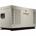 Generac Liquid-Cooled Home Standby Generator - 60 kW (LP)/60 kW (NG), Model# RG06024ANAX