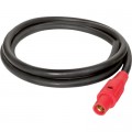 CEP Power Cord with Cam Lock — 200 Amps, 10Ft.L, Red, Model# 6121PR