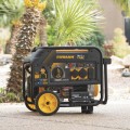 Firman Portable Dual Fuel Generator - 4550 Surge Watts, 3650 Rated Watts, Electric Start, Model# H03651